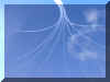 pan15.jpg (38886 byte)