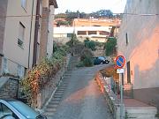 CARRUBO