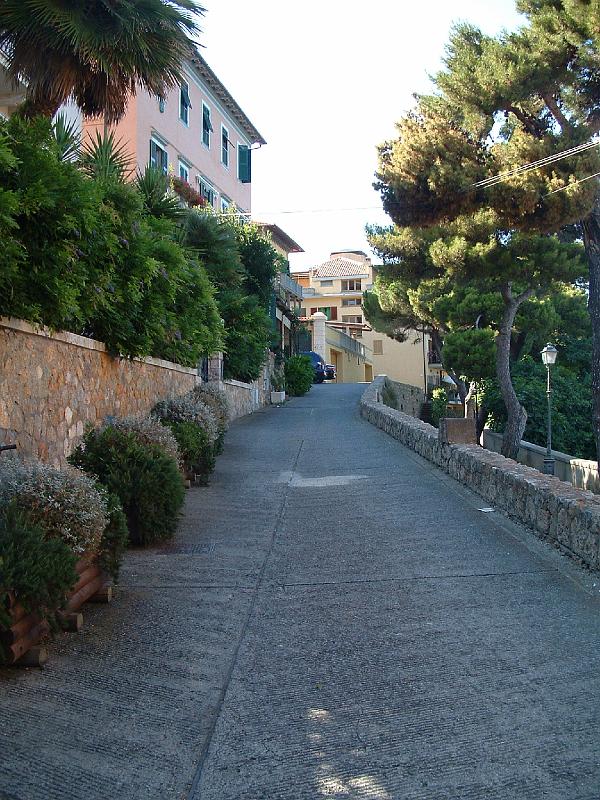 BRESCHI