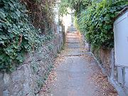 AIADELDOTTORE6