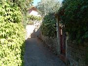 AIADELDOTTORE9