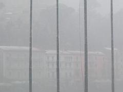 DSCF4334