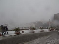 DSCF4349