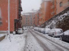 DSCF4383