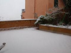 DSCF4422