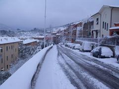 DSCF4435
