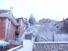 DSCF4437
