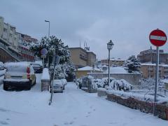 DSCF4444