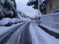 DSCF4449