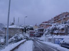 DSCF4454