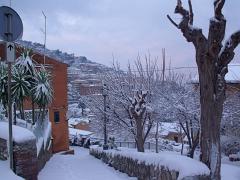 DSCF4463