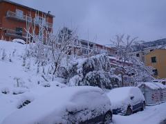 DSCF4468