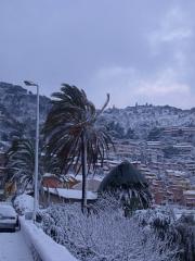 DSCF4477