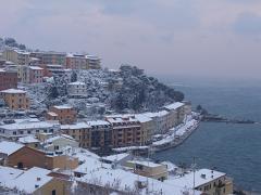DSCF4479