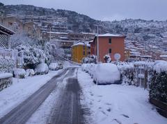 DSCF4485