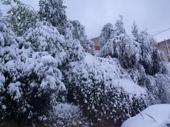 DSCF4486
