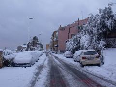 DSCF4490