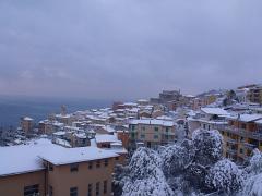 DSCF4497