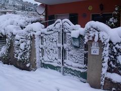 DSCF4516