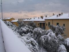 DSCF4559