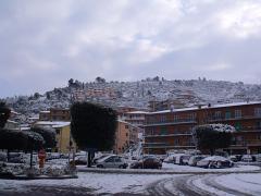 DSCF4562