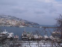 DSCF4583