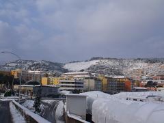 DSCF4598