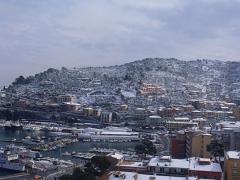 DSCF4644