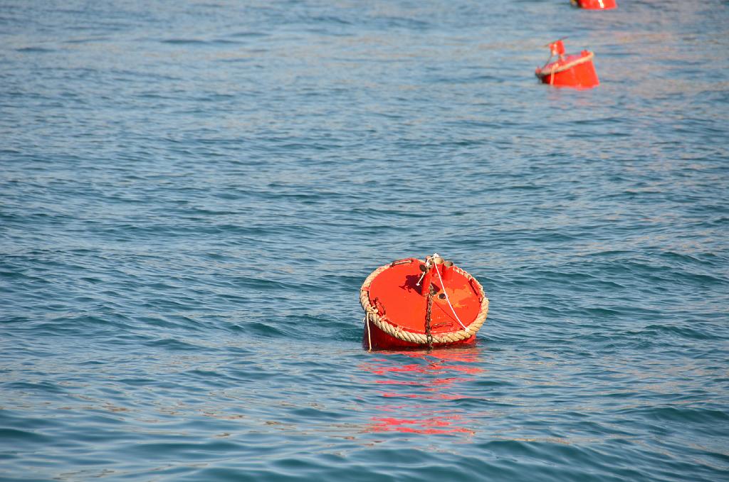 DSC_1439.jpg