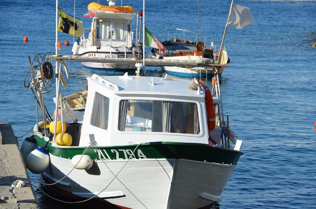 DSC_1457.jpg