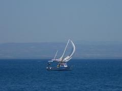 DSCN0775