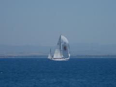 DSCN0779