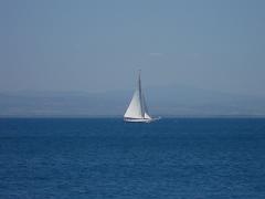 DSCN0784
