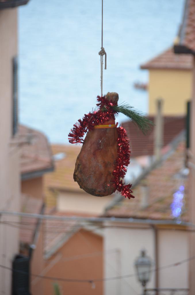 DSC_0836.JPG